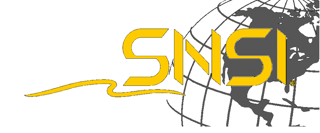 Logo SNSI
