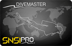 Brevetto Dive Master