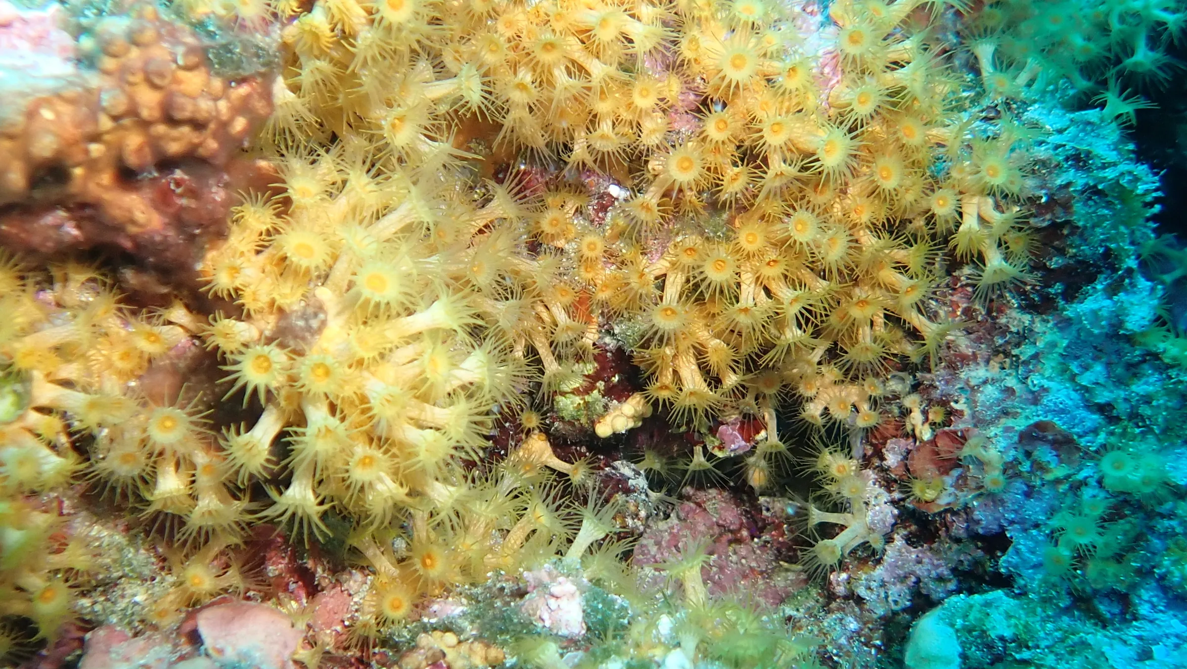 Banjole - Croazia - banjole-croazia-006.webp