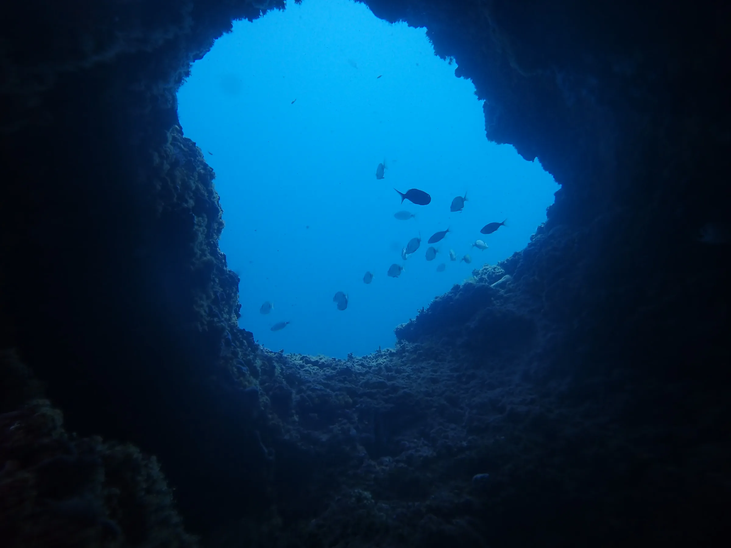 Banjole - Croazia - banjole-croazia-012.webp