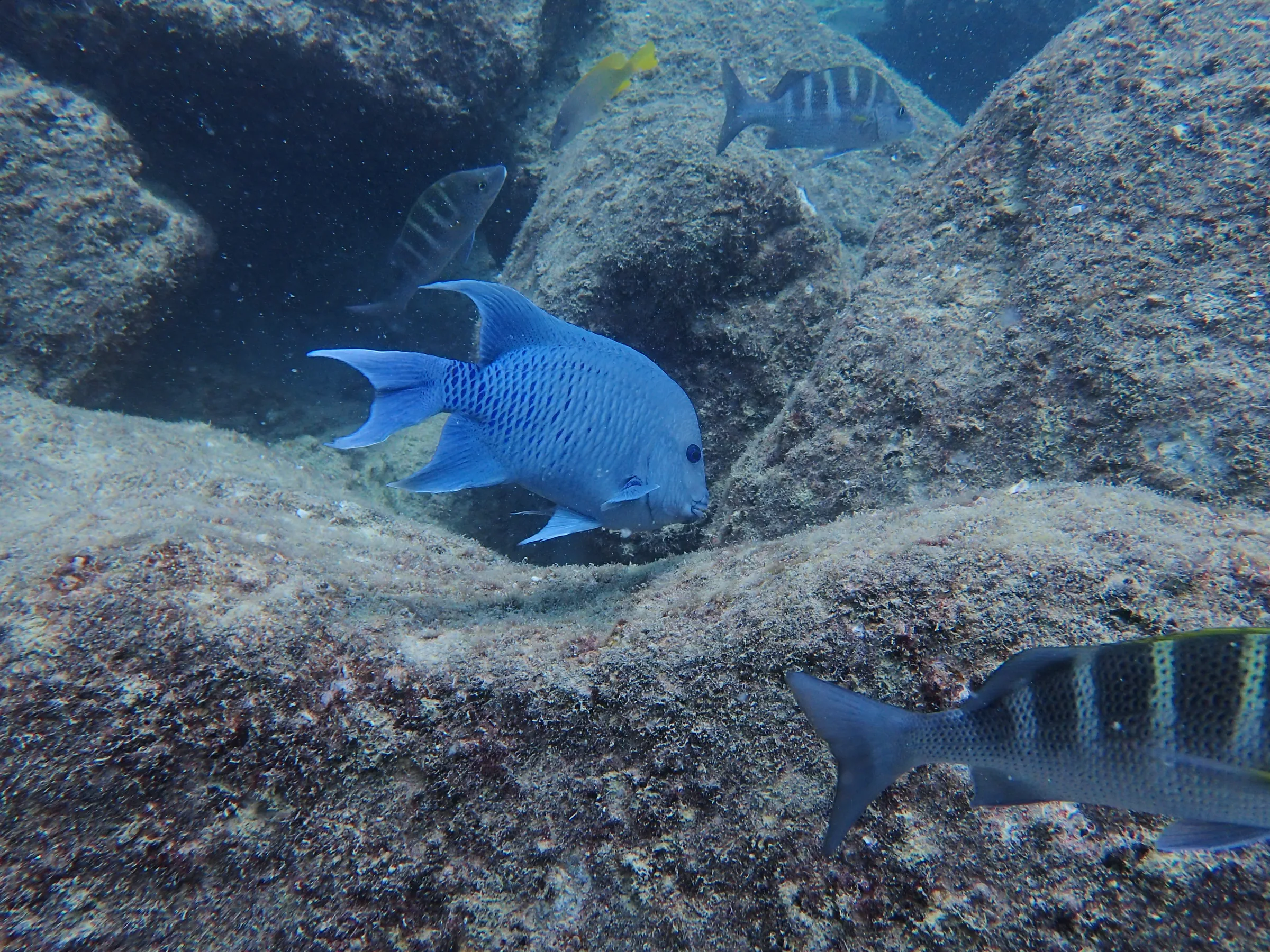 La Paz - Messico - la-paz-messico-004.webp