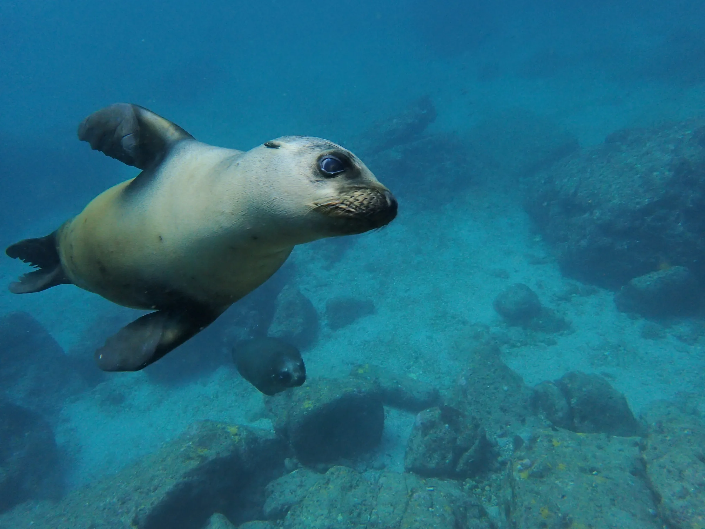 La Paz - Messico - la-paz-messico-005.webp