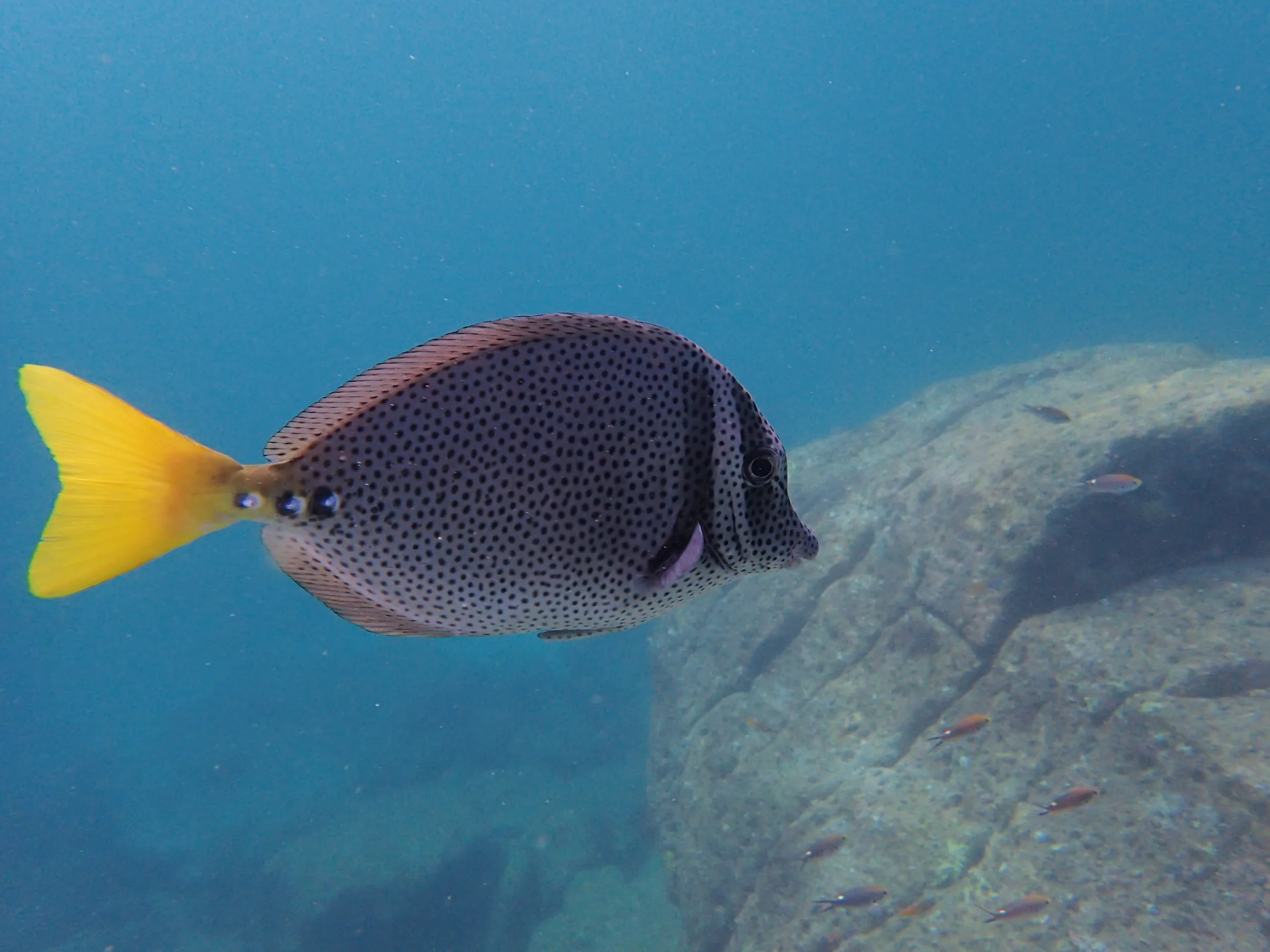 La Paz - Messico - la-paz-messico-006.webp