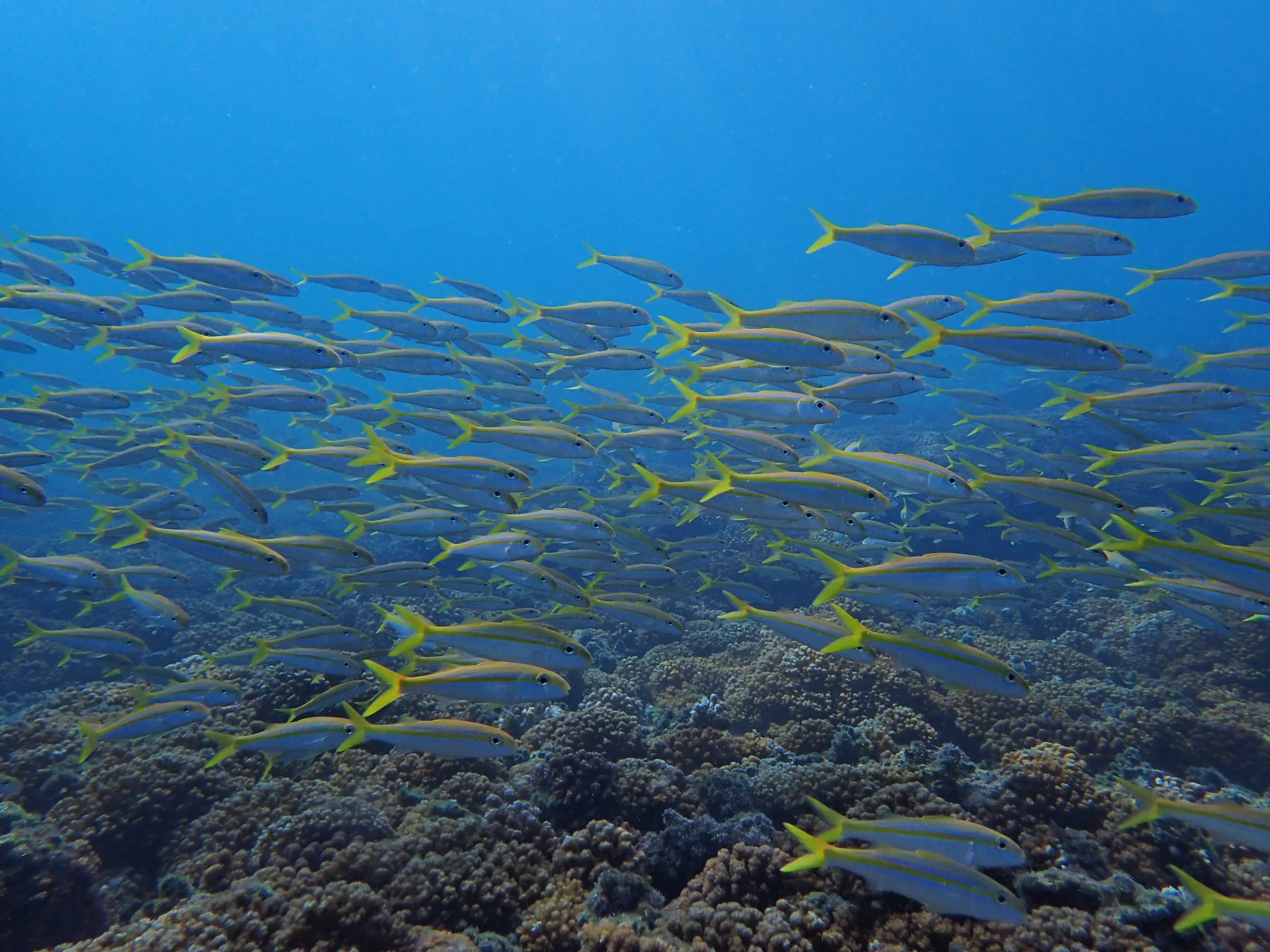 La Paz - Messico - la-paz-messico-008.webp