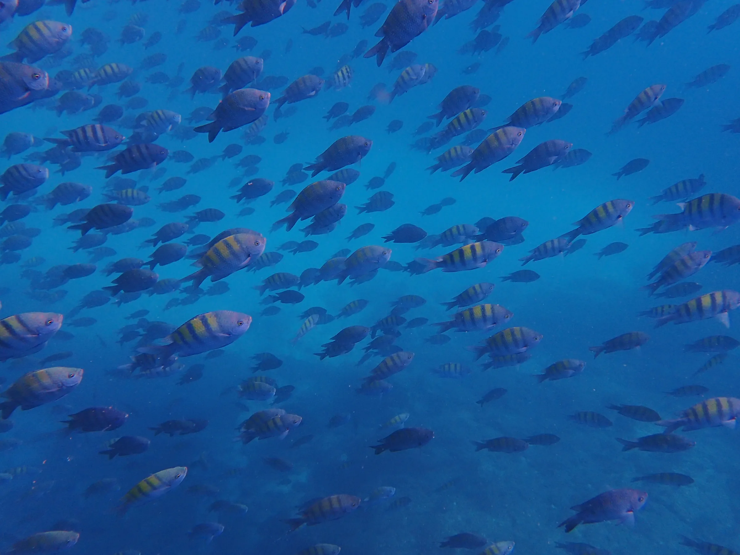 La Paz - Messico - la-paz-messico-009.webp