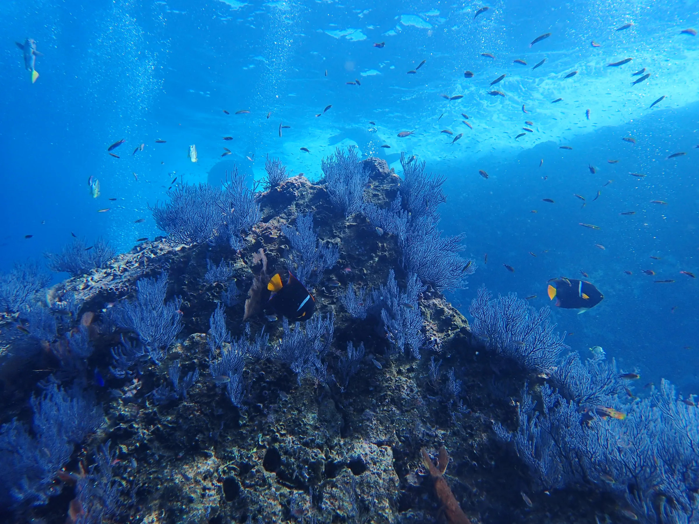 La Paz - Messico - la-paz-messico-012.webp