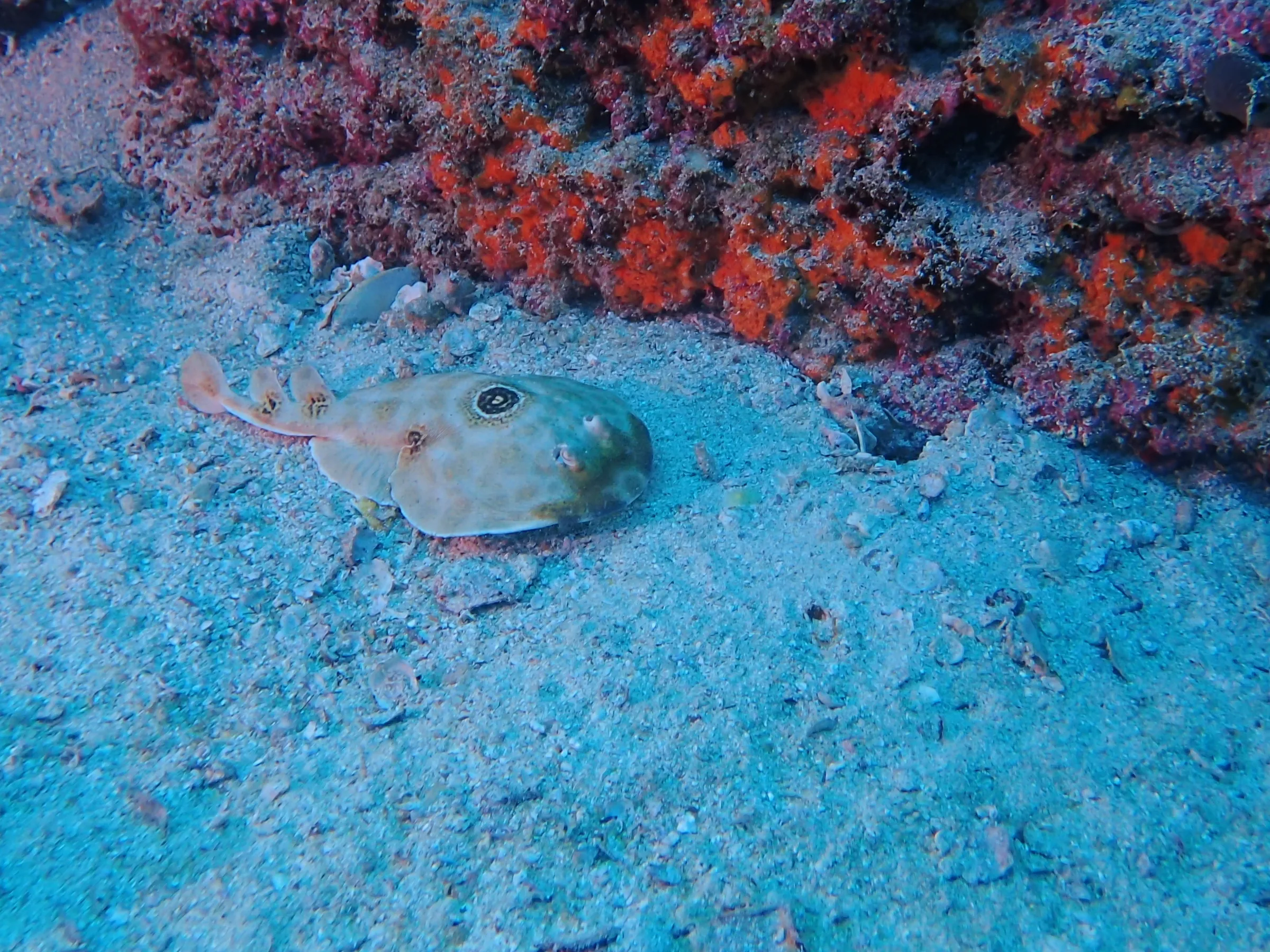 La Paz - Messico - la-paz-messico-017.webp