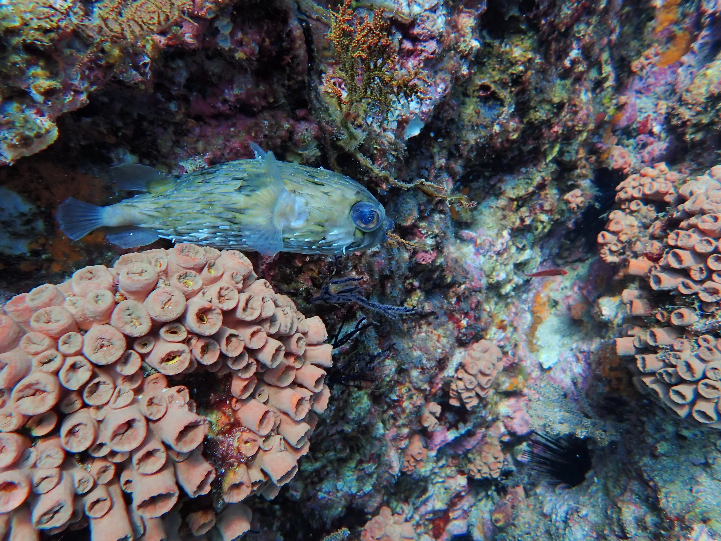 La Paz - Messico - la-paz-messico-018.webp