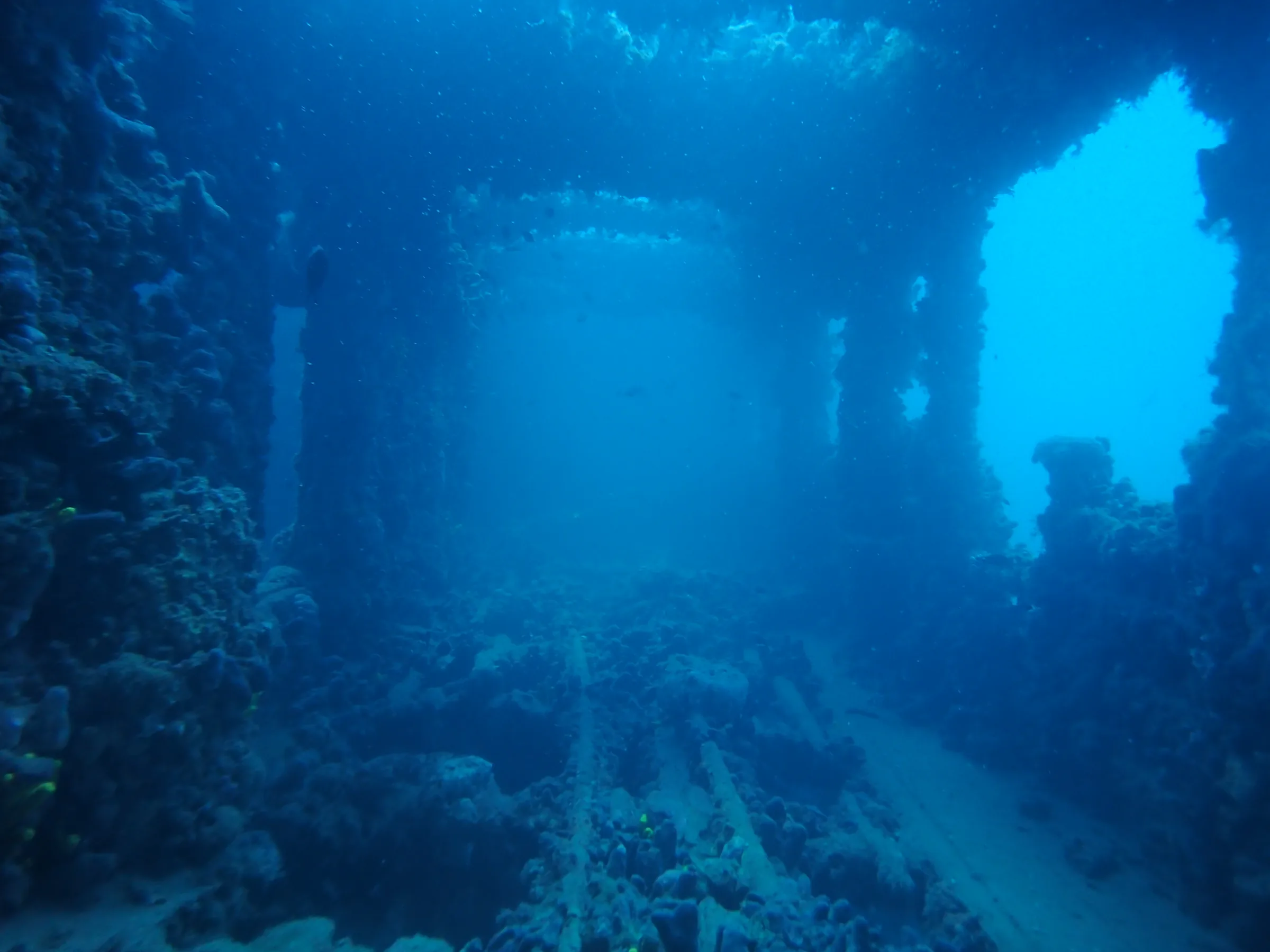 Relitto Baron Gautsch - relitto-baron-gautsch-005.webp