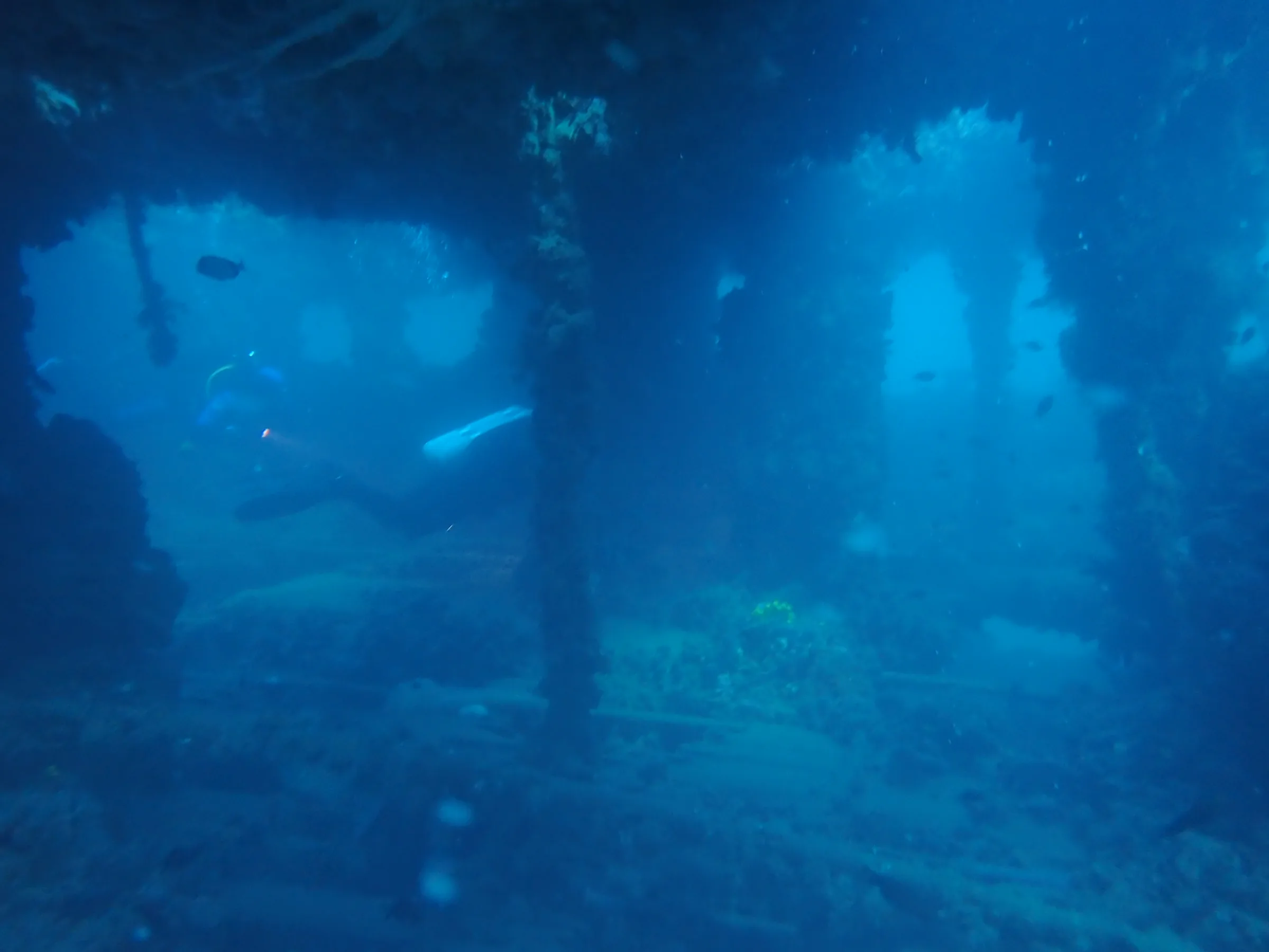 Relitto Baron Gautsch - relitto-baron-gautsch-007.webp