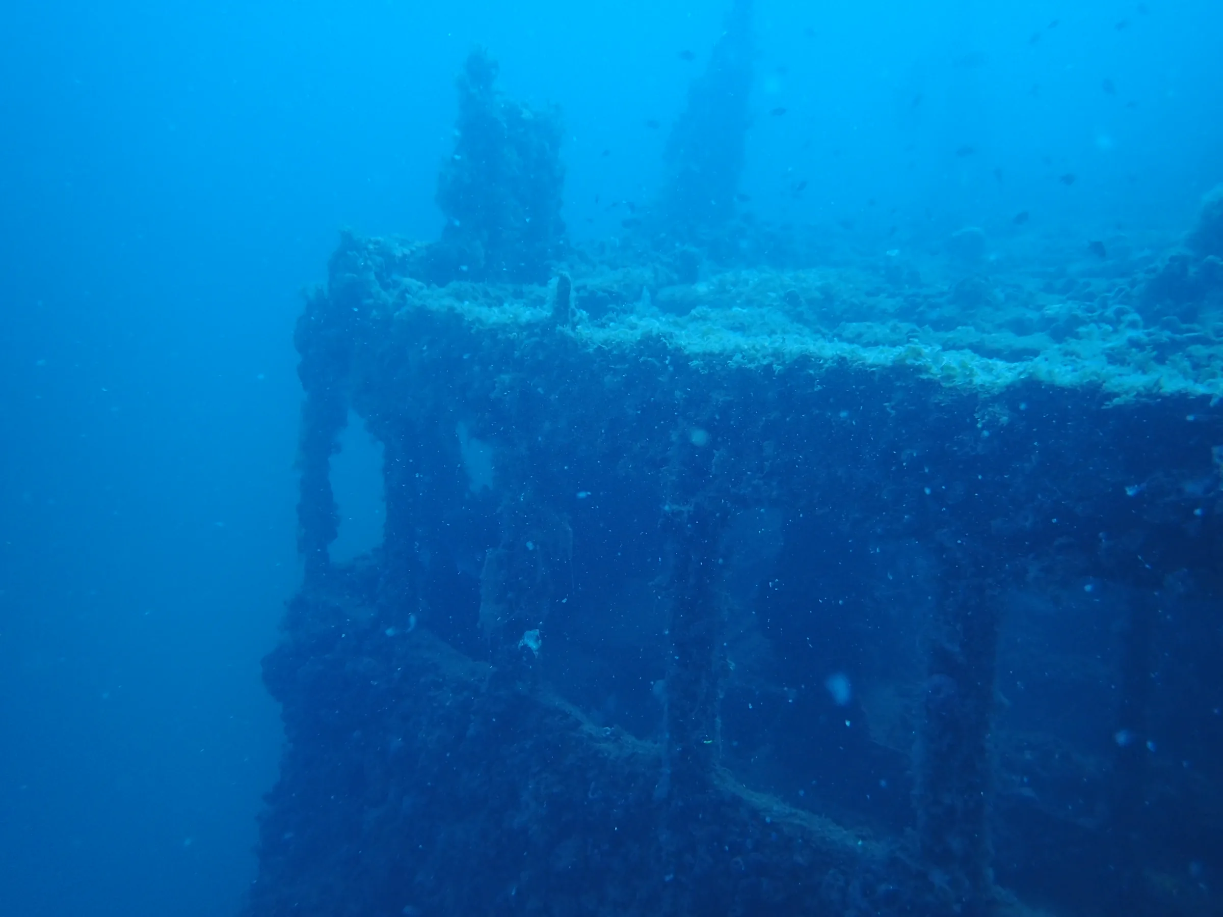 Relitto Baron Gautsch - relitto-baron-gautsch-010.webp