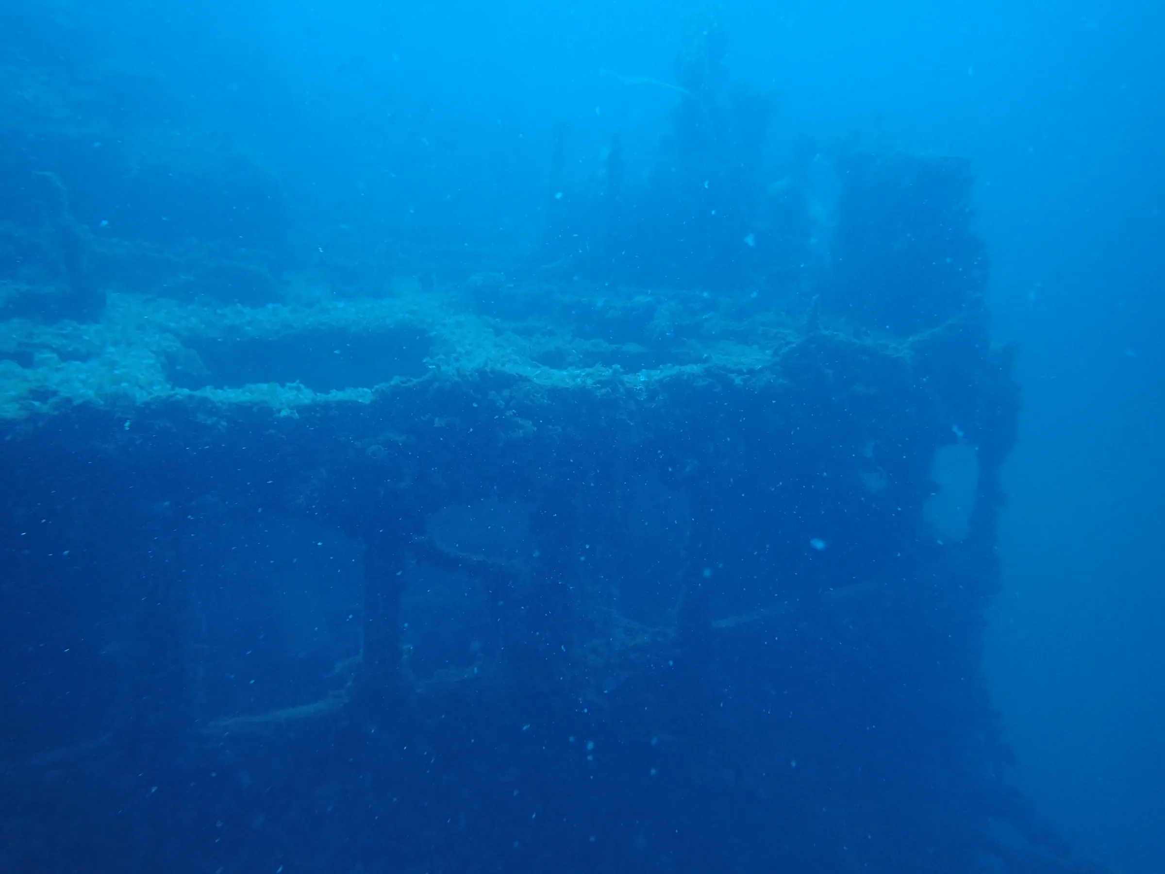 Relitto Baron Gautsch - relitto-baron-gautsch-011.webp