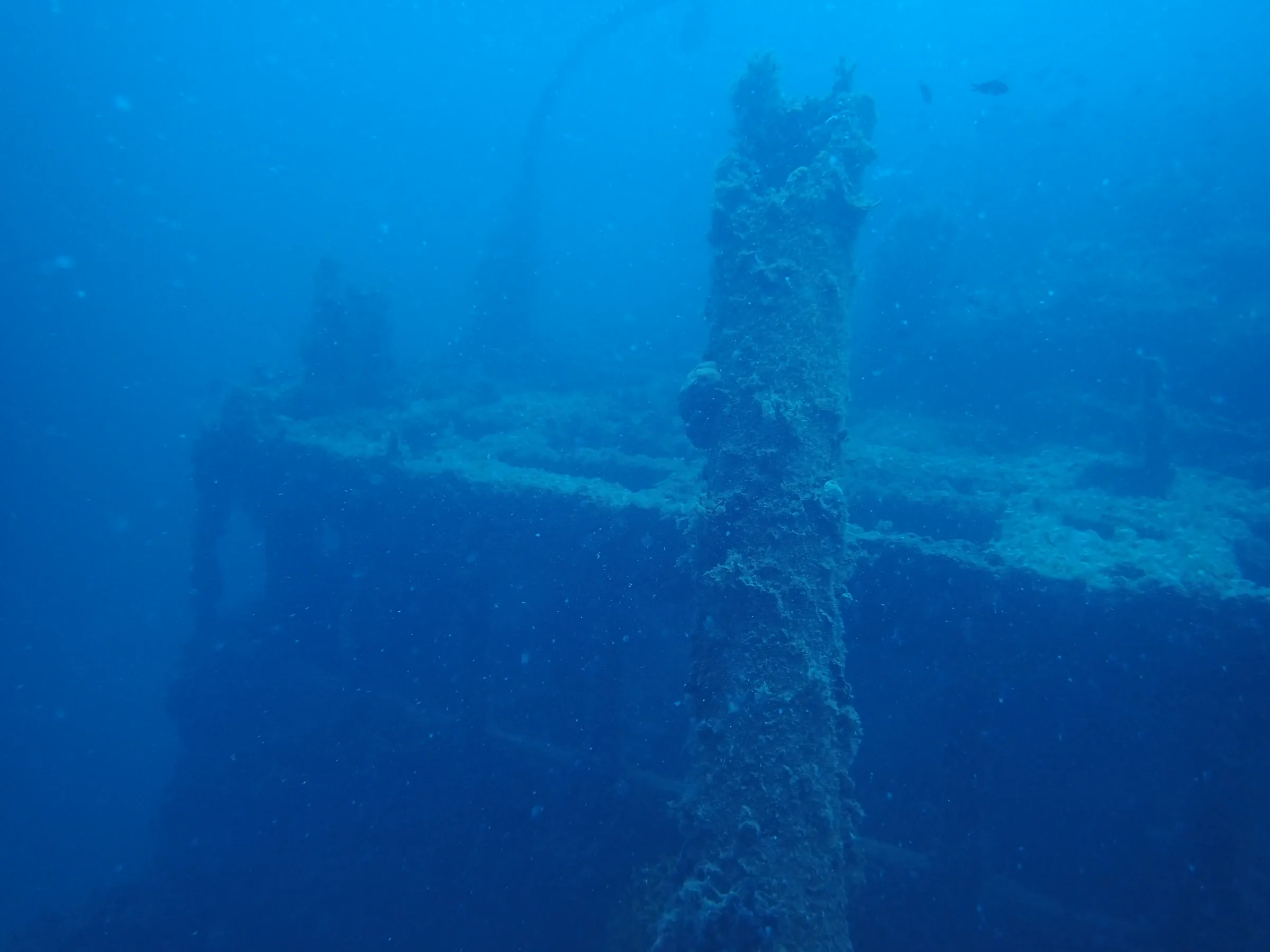 Relitto Baron Gautsch - relitto-baron-gautsch-012.webp